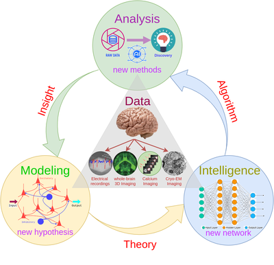 DAMI lab @ [SIAT](https://siat-sz.edu.cn/)
