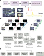 CaImAn an open source tool for scalable calcium imaging data analysis