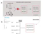 A zero-inflated gamma model for deconvolved calcium imaging traces